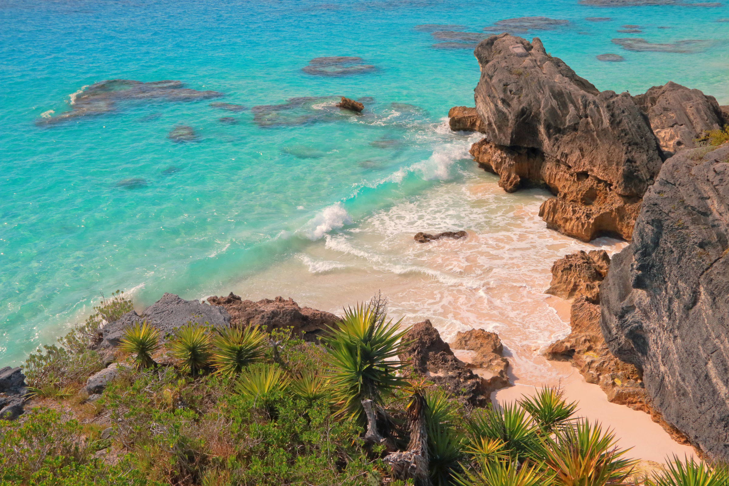 Bermuda[1].webp